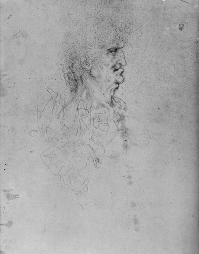 Profiili vanhan miehen oikealla puolella, c1480 1945 tekijältä Leonardo da Vinci