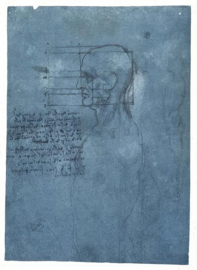 Proportionsstudie eines männlichen Kopfes im Profil tekijältä Leonardo da Vinci