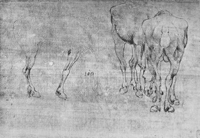 Hevosten laiduntamisen tutkimukset, c1480 1945 tekijältä Leonardo da Vinci