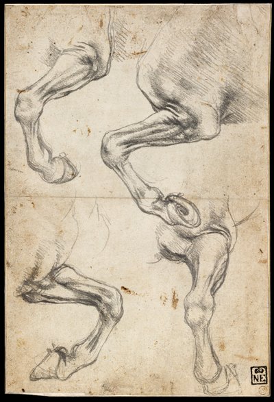 Hevosen jalkaa koskevat tutkimukset tekijältä Leonardo da Vinci
