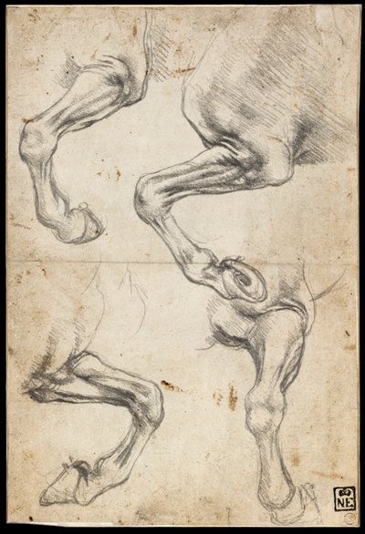 Hevosten jalkojen tutkimukset tekijältä Leonardo da Vinci