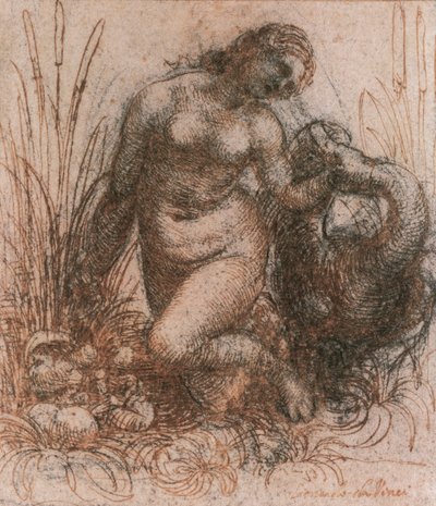 Leonardo da Vincin (1452-1519) tutkimus Ledalle ja joutsenelle, piirustus tekijältä Leonardo da Vinci