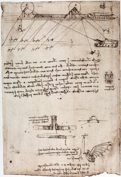 Leonard de Vincin (Leonardo da Vinci) (1452 - 1519) tutkimus meriharasta. Piirustus kynällä ja musteella. tekijältä Leonardo da Vinci