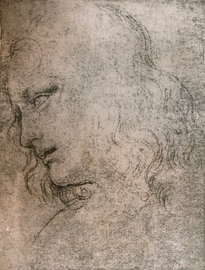 Tutkimus Pyhän Filippuksen päällikkölle teoksessa "Viimeinen ehtoollinen", c1494-c1499 1883. tekijältä Leonardo da Vinci