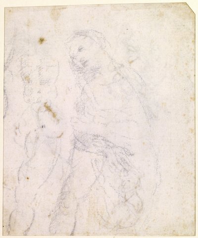 Tutkimus Madonnasta [kääntöpuoli] tekijältä Leonardo da Vinci