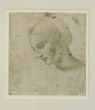 Naisen pää lähes profiilissa ... tekijältä Leonardo da Vinci