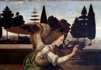 Ilmoitus, enkelin yksityiskohta - öljy puulle tekijältä Leonardo da Vinci