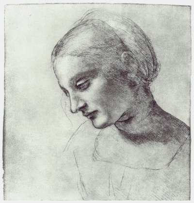 Madonnan pää, c1484-1486 tekijältä Leonardo da Vinci