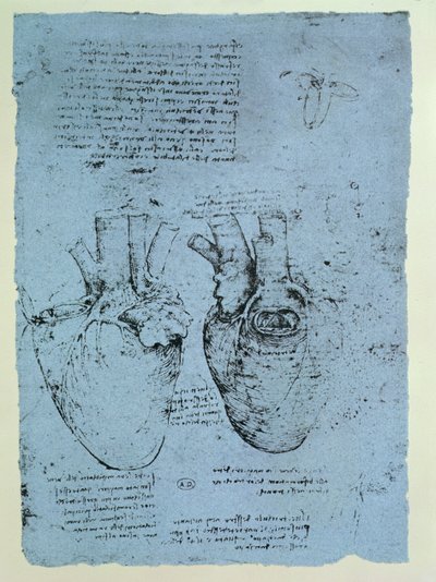Sydän, Windsor-kirjan faksimile (kynä ja muste paperille) tekijältä Leonardo da Vinci
