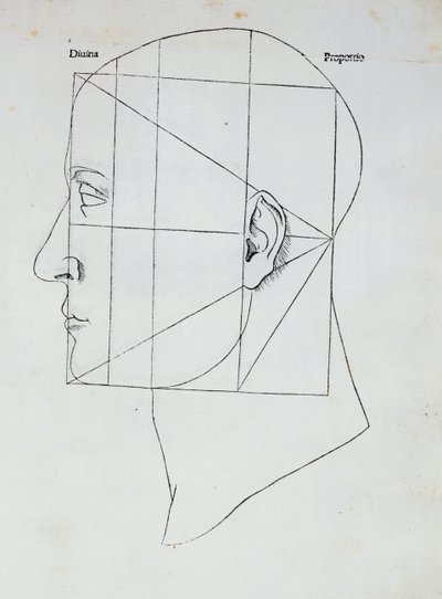 Ihmisen pää, kuvitus "Divina Proportionelle", Luca Pacioli (1445-1517), 1509 tekijältä Leonardo da Vinci