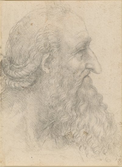 Vanhan parrakkaan miehen pää, n. 1517. tekijältä Leonardo da Vinci