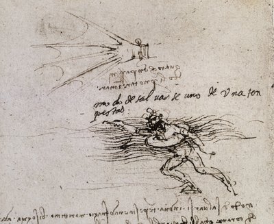 Palmu ja poiju, Codex Atlantic tekijältä Leonardo da Vinci