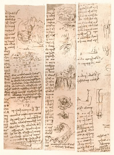 Kolme piirustusta, c1472-c1519 1883 tekijältä Leonardo da Vinci