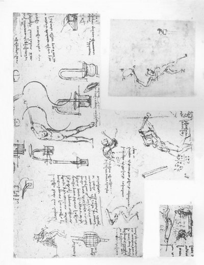 Kolme piirustusta havainnollistavat teoriaa ihmishahmon liikkeistä, c1472-c1519 1883 tekijältä Leonardo da Vinci