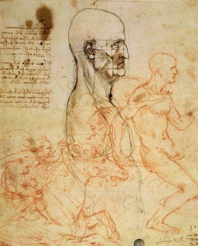 Profiilissa olevan miehen vartalo, pää neliötettynä ja luonnokset kahdesta ratsumiehestä, n. 1490 ja n. 1504 (kynä ja mustetta ja punaista liitua metallikärkillä paperilla tekijältä Leonardo da Vinci
