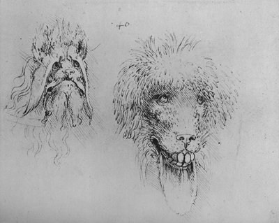 Two Heads of Monsters, c1480 1945 tekijältä Leonardo da Vinci