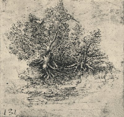 Kaksi puuta puron rannalla, c1480 1945 tekijältä Leonardo da Vinci