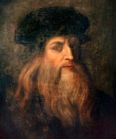 Tuntematon kuva tekijältä Leonardo da Vinci