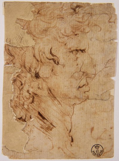 Tuntematon kuva tekijältä Leonardo da Vinci