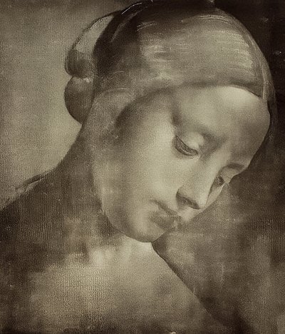 Naisen pää. 1470-1519 tekijältä Leonardo da Vinci
