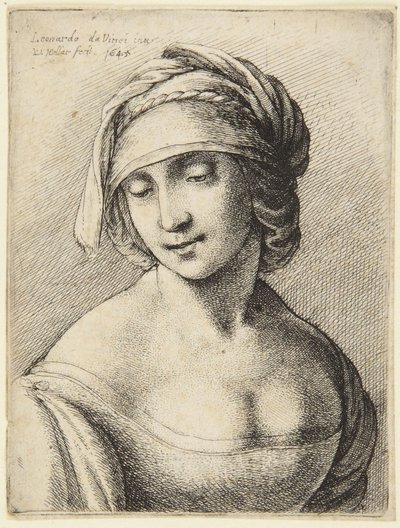 Nainen, jolla on kaulahuivi tekijältä Leonardo da Vinci