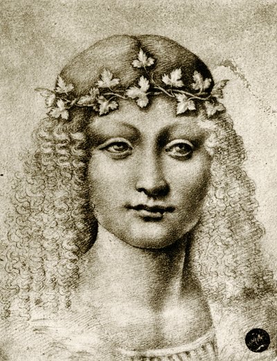 Viiniköynnösten seppeleen tytön pää tekijältä Leonardo da school of Vinci