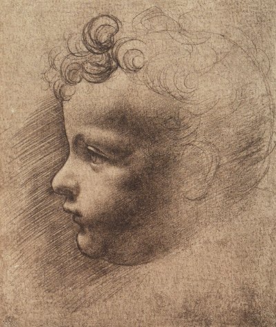 Pienen pojan pää; Leonardo da Vincin piirustus. Louvre, Pariisi tekijältä Leonardo da school of Vinci