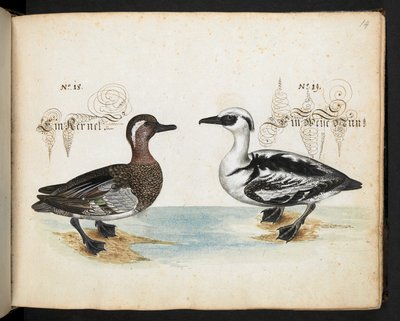 Lisää MS 6485 tekijältä Leonhard Baldner