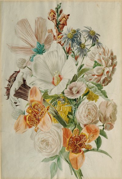 Kimppu hibiskusta ja liljoista tekijältä Leopold von Stoll