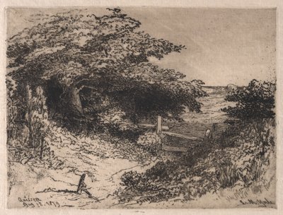 Quissett, Barnstable County, Massachusetts, 1879. tekijältä Leroy Milton Yale