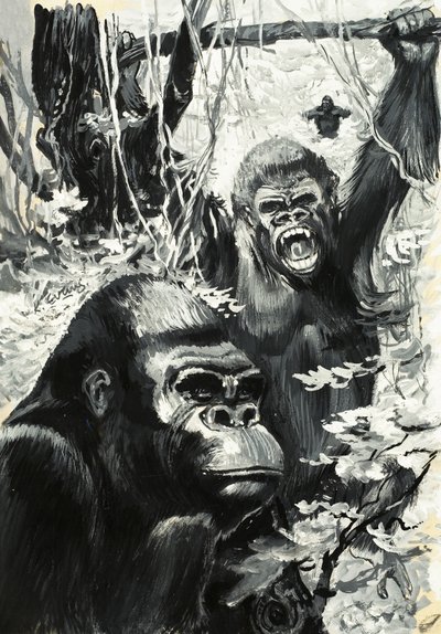 Gorillat tekijältä Leslie Field Evans