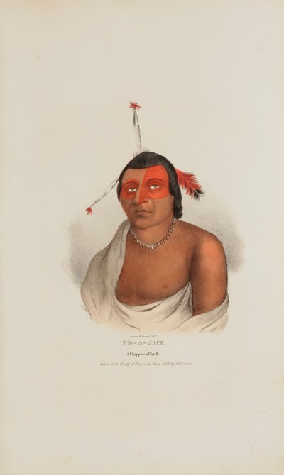 PE-A-JICK; A Chippewa Chief, Aboriginal Portfolio -teoksesta. tekijältä Lewis, James Otto