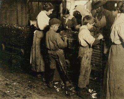 10-vuotias Jimmie, joka on kuorinut 3 vuotta (6 ruukkua päivässä), ja 11-vuotias poika, joka kuorii 7 ruukkua, Varn und Platt Canning Co., Bluffton, Etelä-Carolina, 1913. tekijältä Lewis Wickes Hine