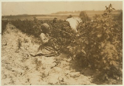 Kuusivuotias puolalainen tyttö poimimassa marjoja koko päivän perheensä kanssa (Scholtz) Rock Creekissä lähellä Baltimorea, Maryland, 1909 tekijältä Lewis Wickes Hine