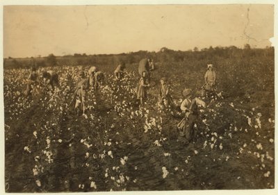 Perhe poimii puuvillaa McKinneyn lähellä Texasissa, 1913 tekijältä Lewis Wickes Hine