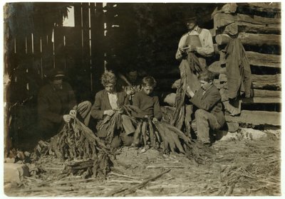 Sons of J.H. 12-, 14- ja 17-vuotias Burch riisui tupakkaa kouluaikoina Warren Countyssa, Rockfieldissä, Kentuckyssa, 1916 tekijältä Lewis Wickes Hine