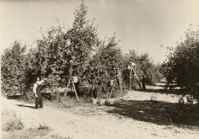 Nimetön, n. 1935. tekijältä Lewis Wickes Hine