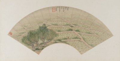 Riisipellot haikaroiden kanssa, Qing-dynastia, 1741 (muste ja väri paperille) tekijältä Li Shizuo