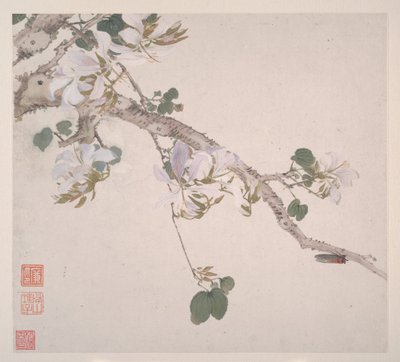 Hyönteisiä ja kukkia, vuodelta 1865 (kahdeksanlehtialbumi; tussi ja väri paperille). tekijältä Lian Ju