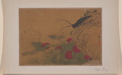 Heinäsirkka kalliolla tekijältä Liang Wen