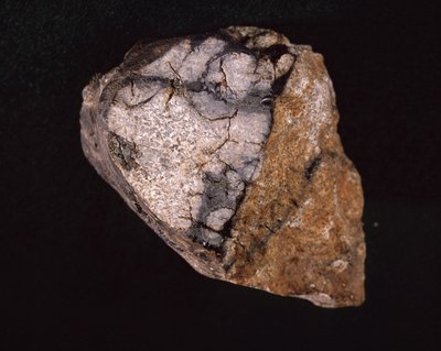 Meteoriitti löydettiin Intiasta vuonna 1875 - Museum d