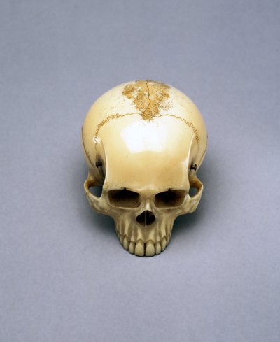 Kallomalli, luultavasti netsuke, japanilainen tekijältä Unbekannt Unbekannt