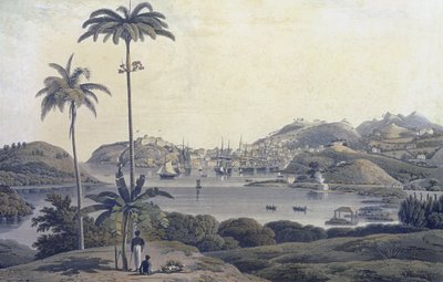 Näkymä St. Georgen kaupungista Grenadan saarella, otettu Belmont Estate -tilalta, kaivertaja William Daniell (1769-1837), noin 1810. tekijältä Lieutenant Colonel J. Wilson