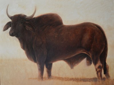 Brahmin Bull tekijältä Lincoln Seligman