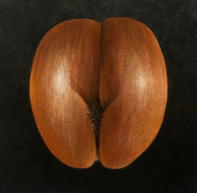 Coco de Mer, 2010 (akryyli kankaalle) tekijältä Lincoln Seligman