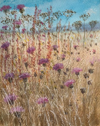 Tumma Scabious tekijältä Lincoln Seligman