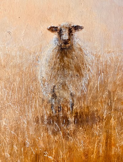 Suosikki Ewe tekijältä Lincoln Seligman