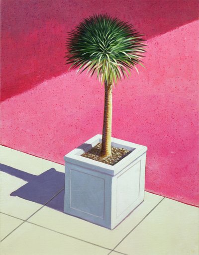 Pieni kämmen, 1995 (akryyli kankaalle) tekijältä Lincoln Seligman