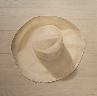 Matkahattu pölypöydällä, 2010 (akryyli kankaalle) tekijältä Lincoln Seligman