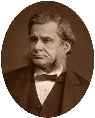 Professori Thomas Henry Huxley, 1880. tekijältä Lock and Whitfield